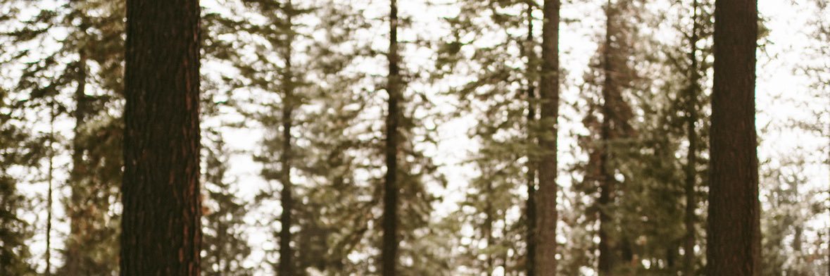 christinaxobby's profile banner image