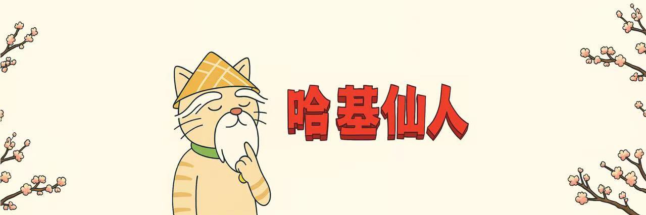 哈基仙人 banner