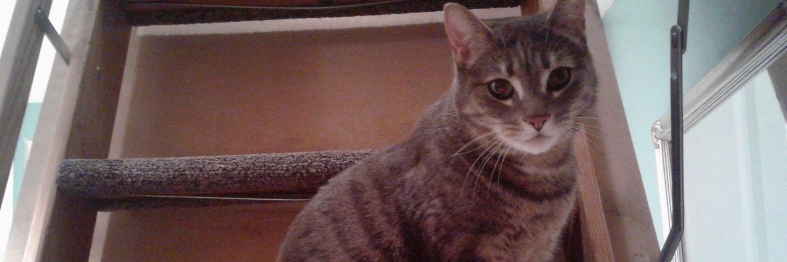tabbie503's profile banner image