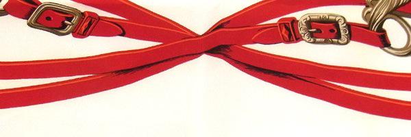 Cocotrella's profile banner image