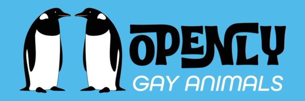 oganimals Profile Banner