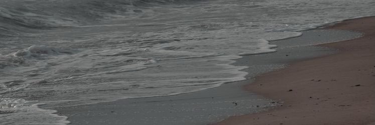 Dntfathia's profile banner image