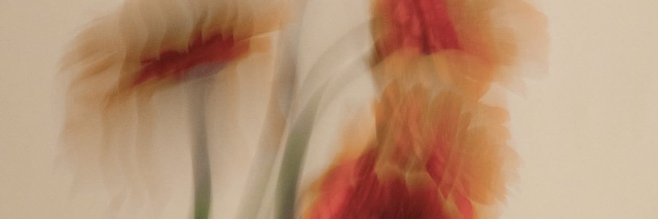 bakpiaaaa's profile banner image