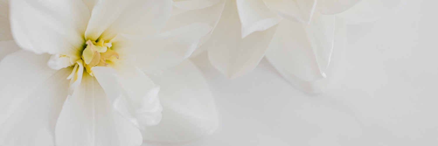 katimkuusisto's profile banner image
