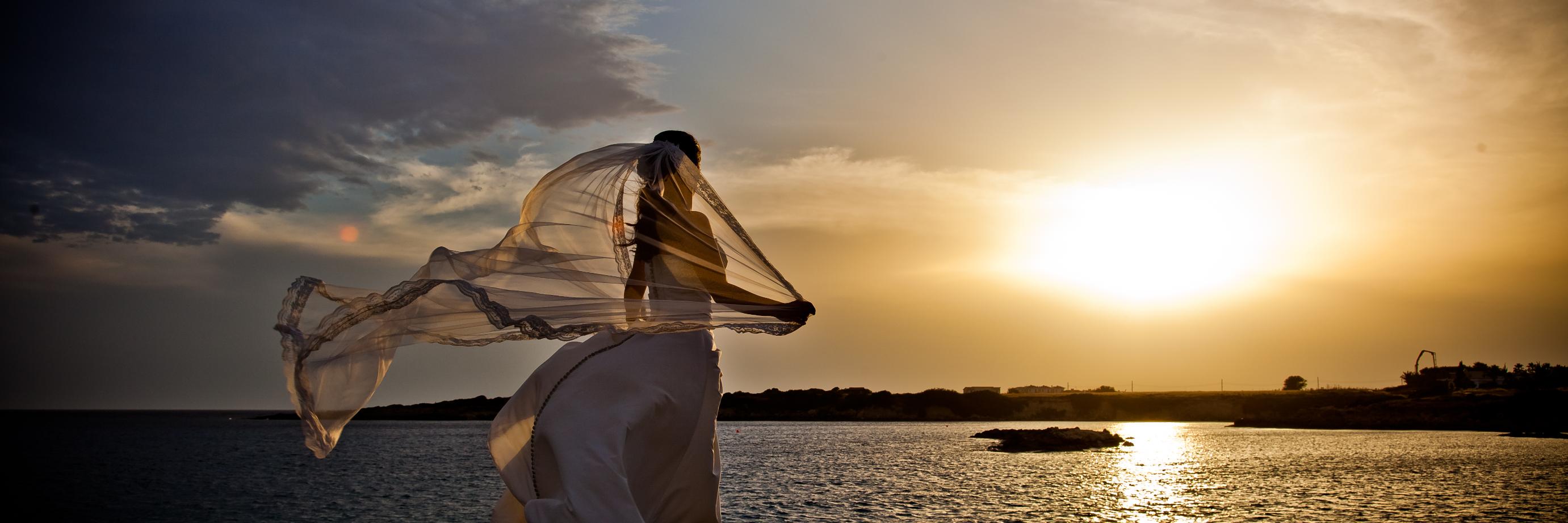weddingscy's profile banner image