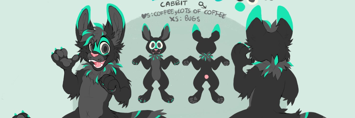 Turquo cabbit🐰 banner