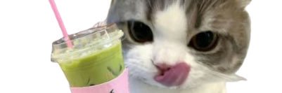 PERl§H 🐱🐾 banner