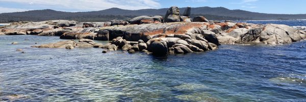 laufw81 Profile Banner