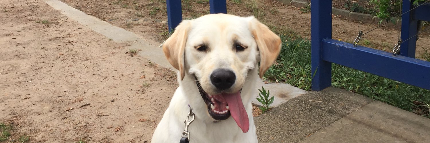 St Bridget's Primary School banner