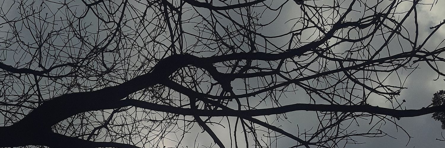 staryellowu's profile banner image