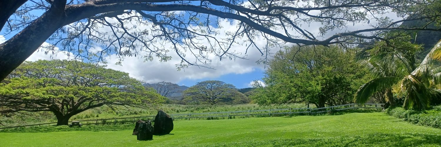 Max おじさん banner