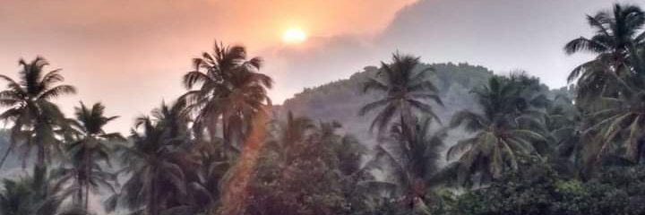 Ceteris Paribus banner