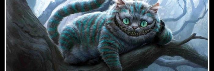 Megamononas's profile banner image