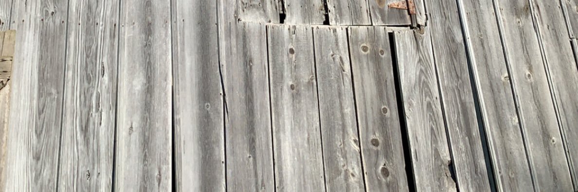 Adrienne_VF's profile banner image