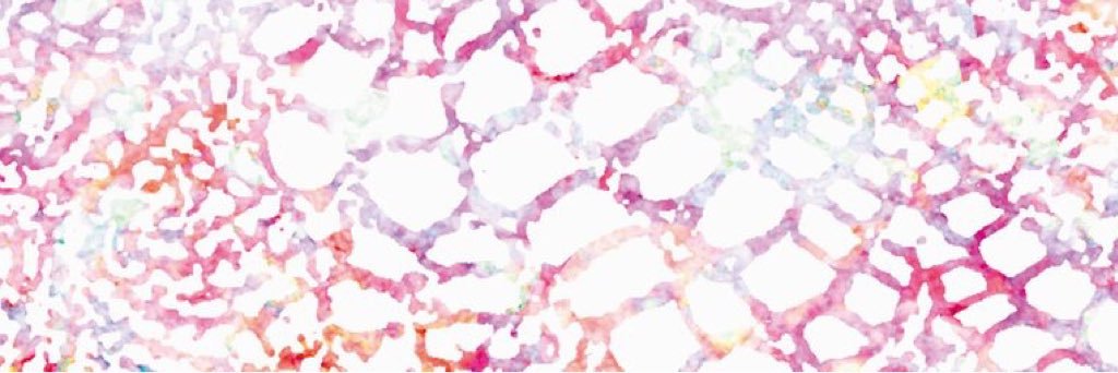 hato_dosu's profile banner image