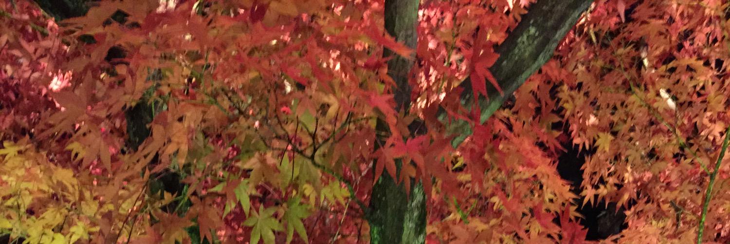 さっちょんまんたろー banner