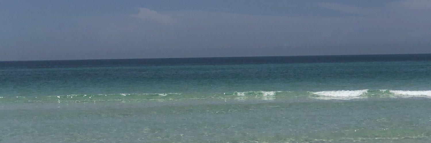 lisaslowe's profile banner image