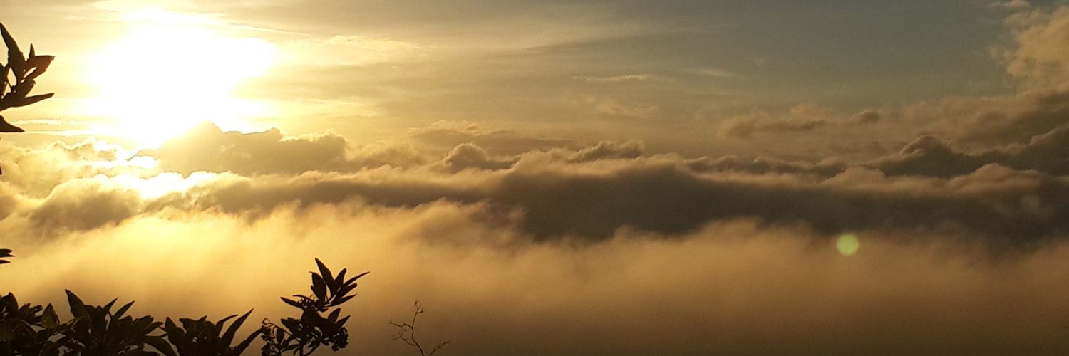 xaviondomaster's profile banner image