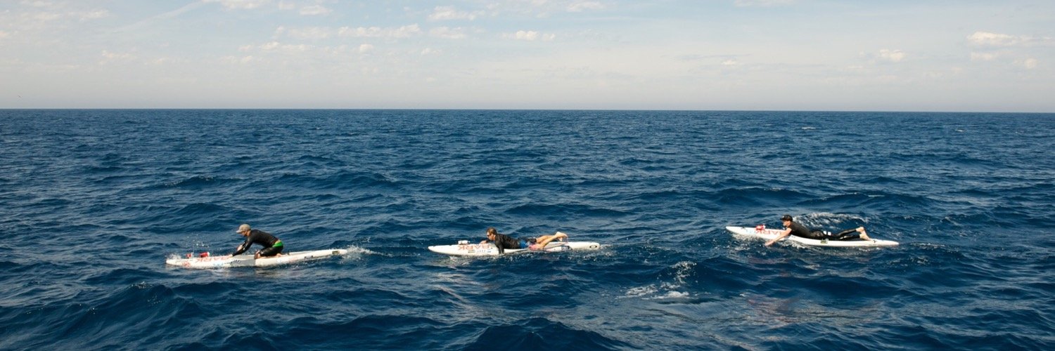 BarkBoards's profile banner image