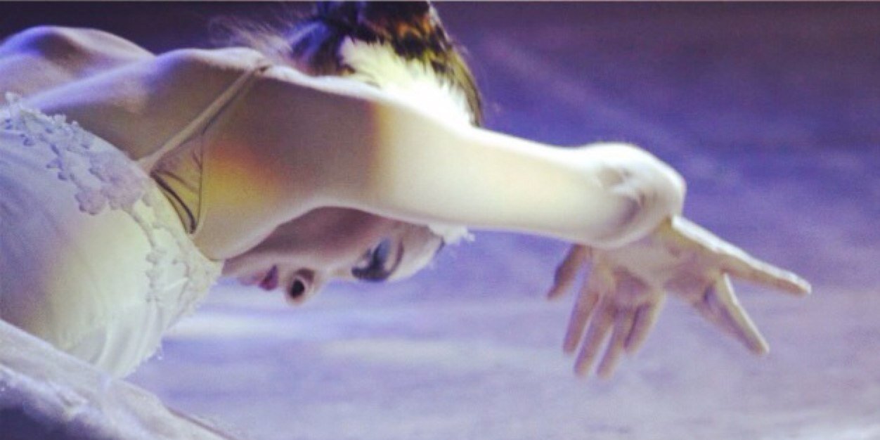 95_ariadna's profile banner image