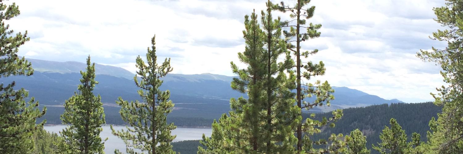 madelizbrown's profile banner image