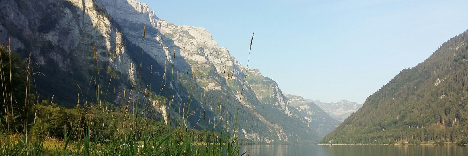 Johanna Burger banner