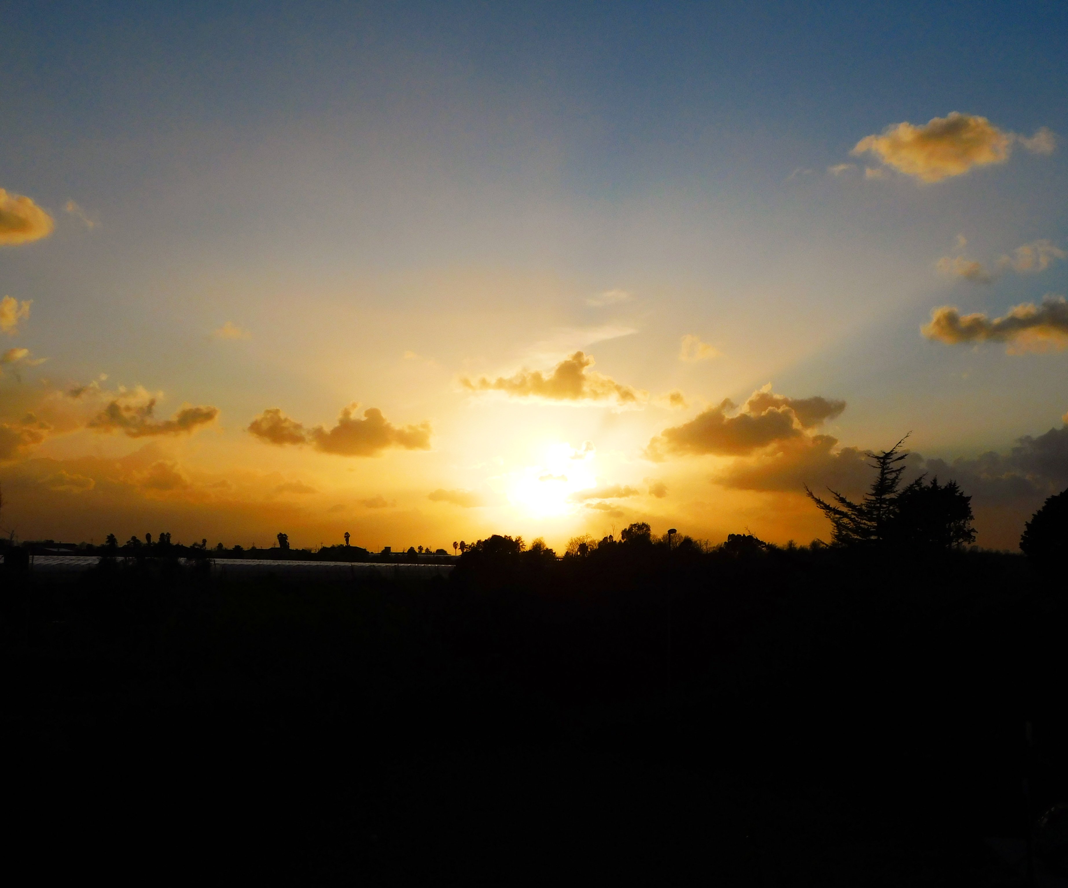 GiuliaVillani95's profile banner image