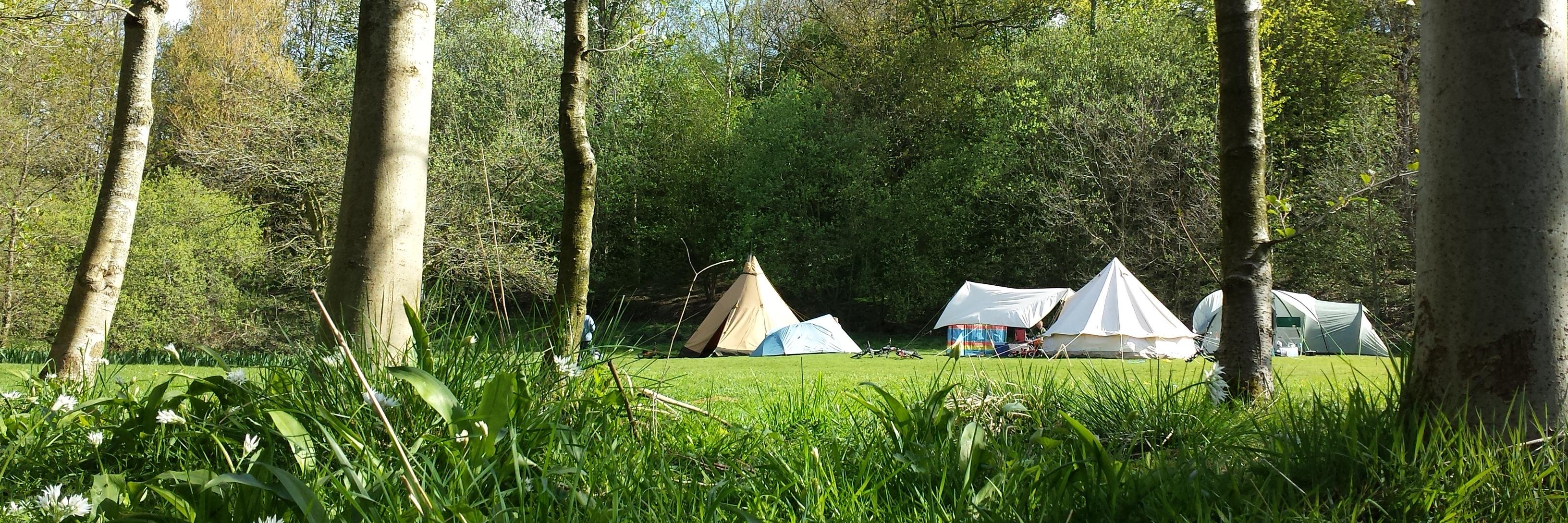 Tamasin Greenough Graham banner
