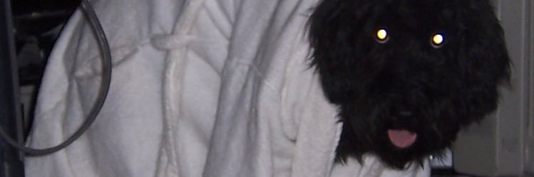 vclvr's profile banner image