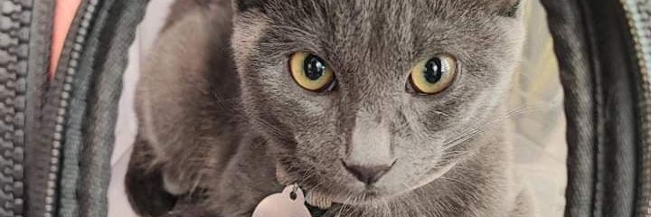linijane13's profile banner image