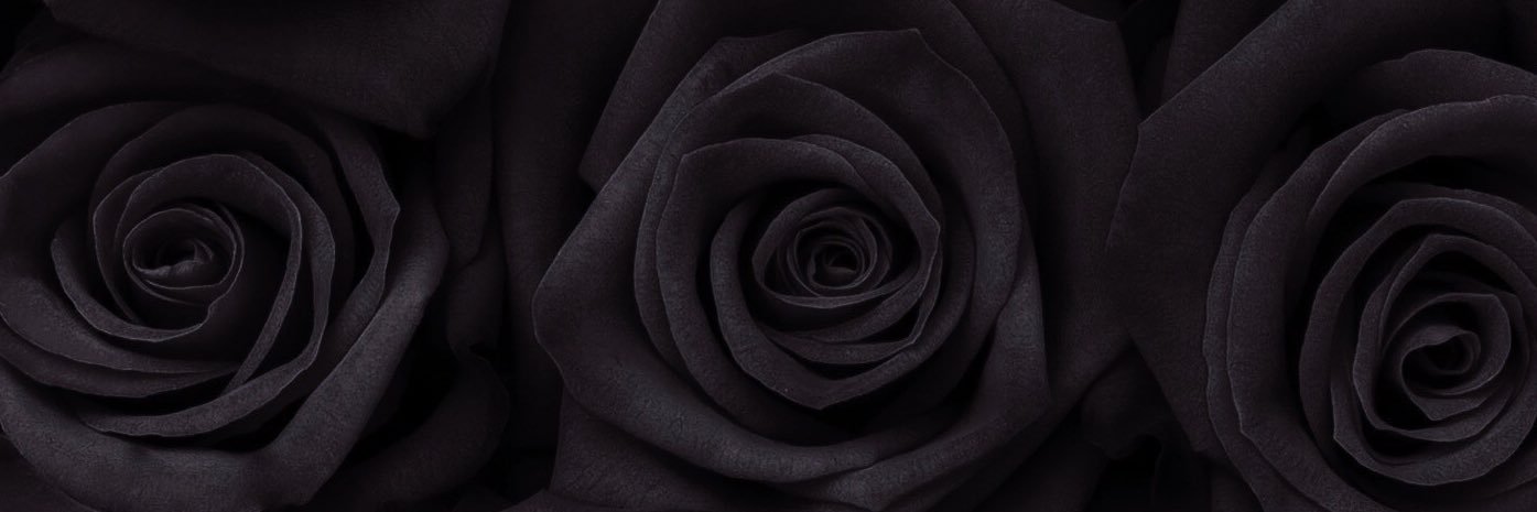 2410Aw's profile banner image