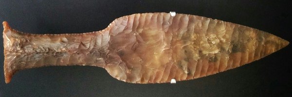 tomosproffitt Profile Banner