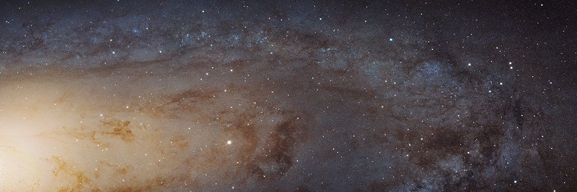 MarioAndradeAzc's profile banner image