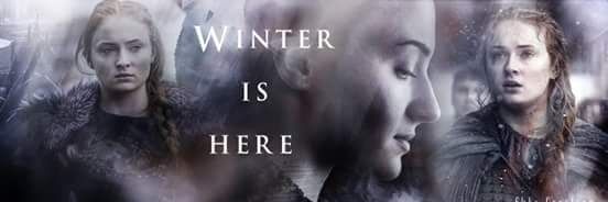 LadySansa_'s profile banner image