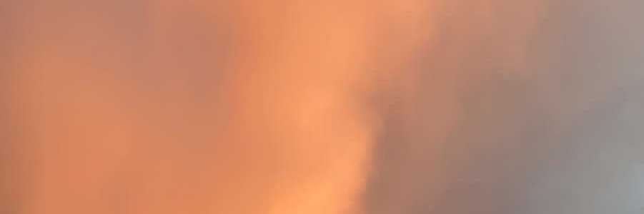 codilynn24's profile banner image