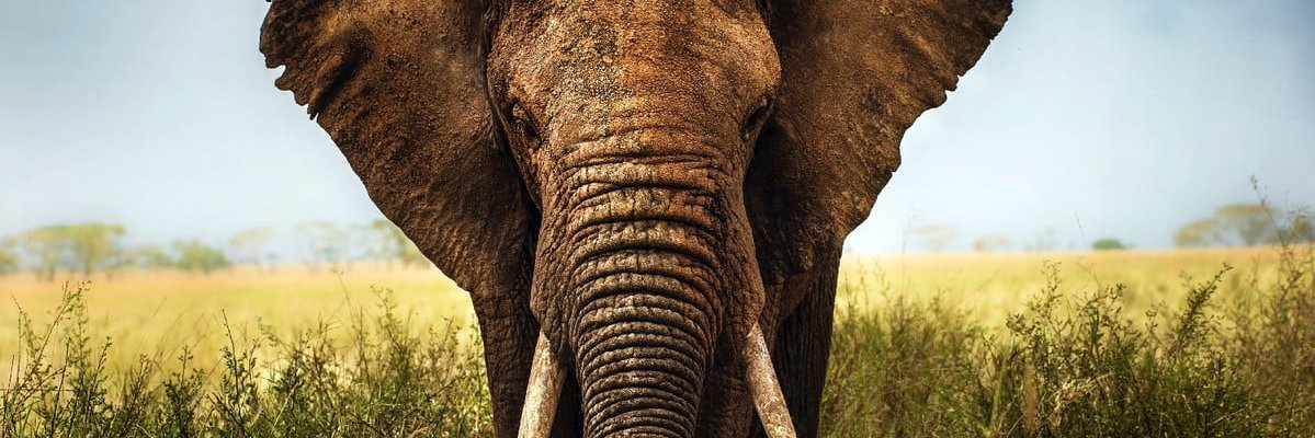 nathanstweet's profile banner image