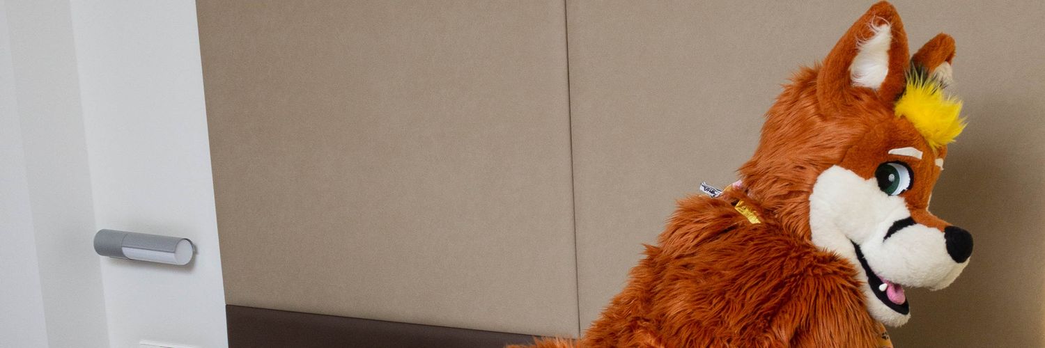 Taikymoto's profile banner image