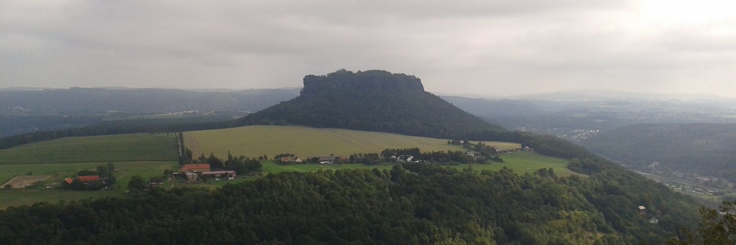 Susanne R. Wenzel banner