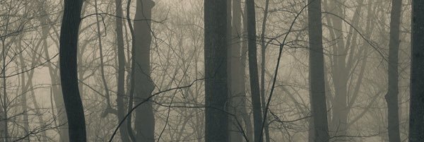 MeloTorres05's profile banner image