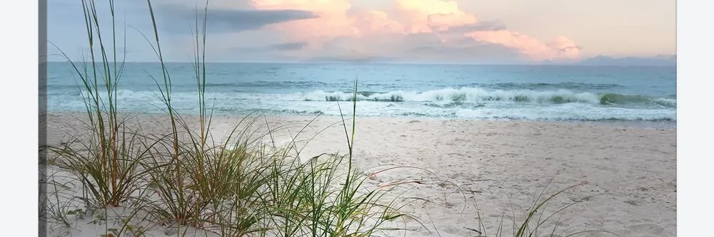 David ☮️ ❤️😊😎☯️🇺🇦 🙄🤣 banner