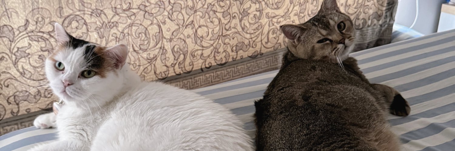 THEPLOY banner