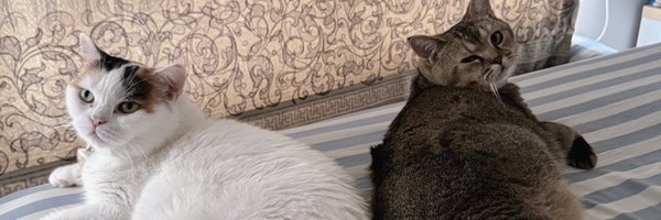 the_ploy Profile Banner
