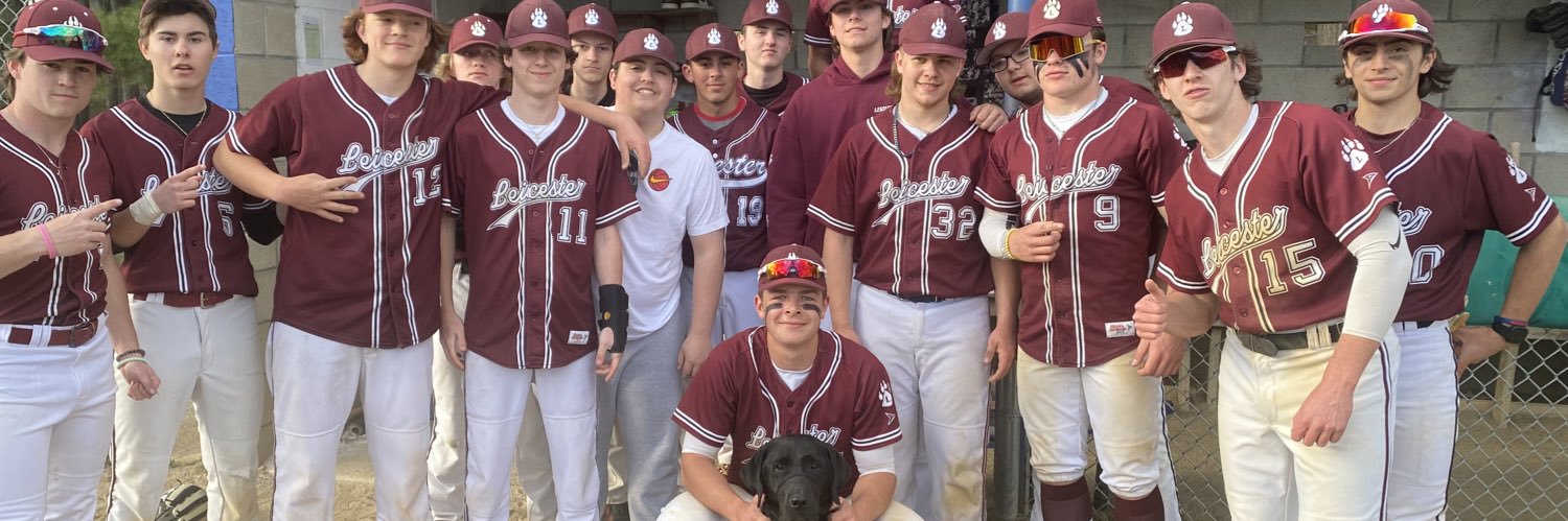 LHS Varsity Baseball banner