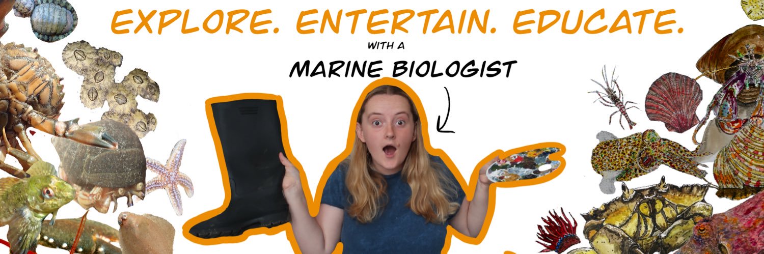 Dr Elizabeth Mills banner