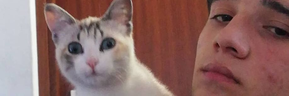 ricookokk's profile banner image
