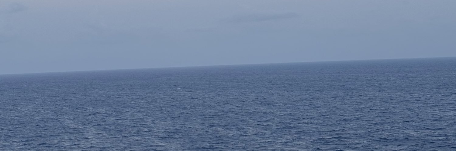 Julia Caldeira banner