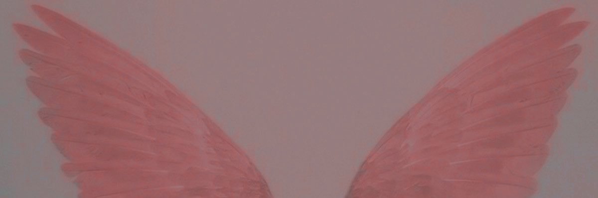 pulchrafictor's profile banner image