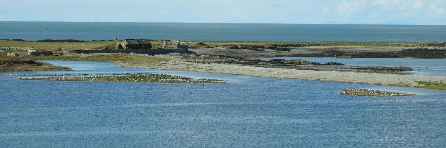 Anglesey Bird News Profile Banner