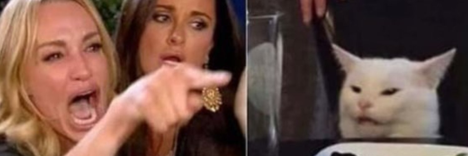 Kitten Academy banner