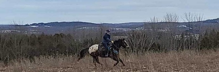 🐾Computer Jen🐾🇨🇦 banner